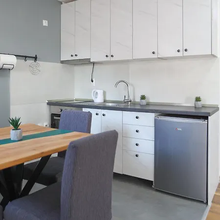 Airport Apartment Surcin